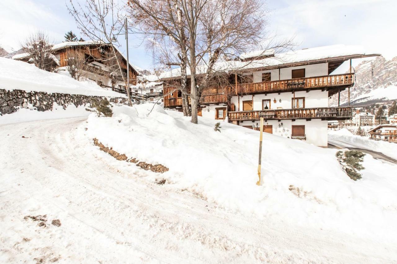 Dolomiti Sweet Lodge 코르티나 담페조 외부 사진